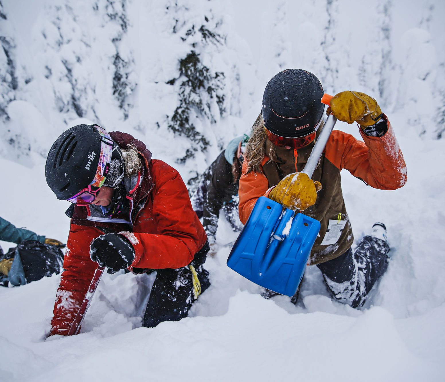 Exchange Avalanche Education Women
